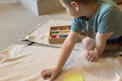 Color gradation. Learning the shades of colors. 