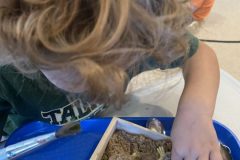 Future paleontologists!